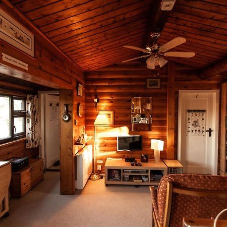 Trawsfynydd Rustic Log Cabin In Snowdonia By Seren Short Stays מראה חיצוני תמונה