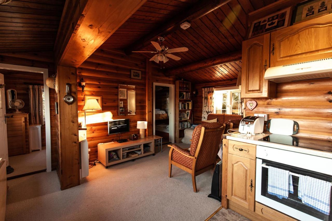 Trawsfynydd Rustic Log Cabin In Snowdonia By Seren Short Stays מראה חיצוני תמונה