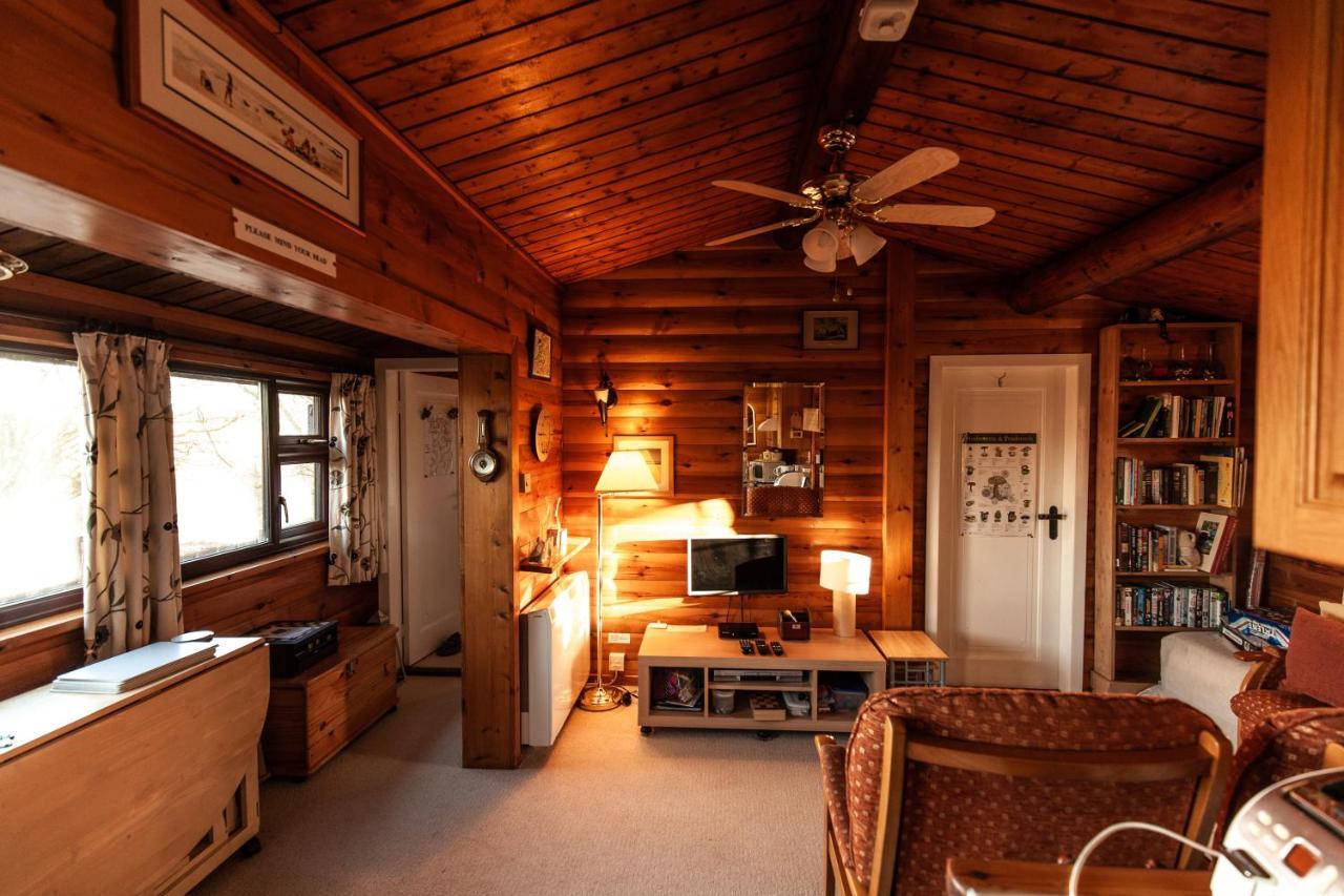 Trawsfynydd Rustic Log Cabin In Snowdonia By Seren Short Stays מראה חיצוני תמונה
