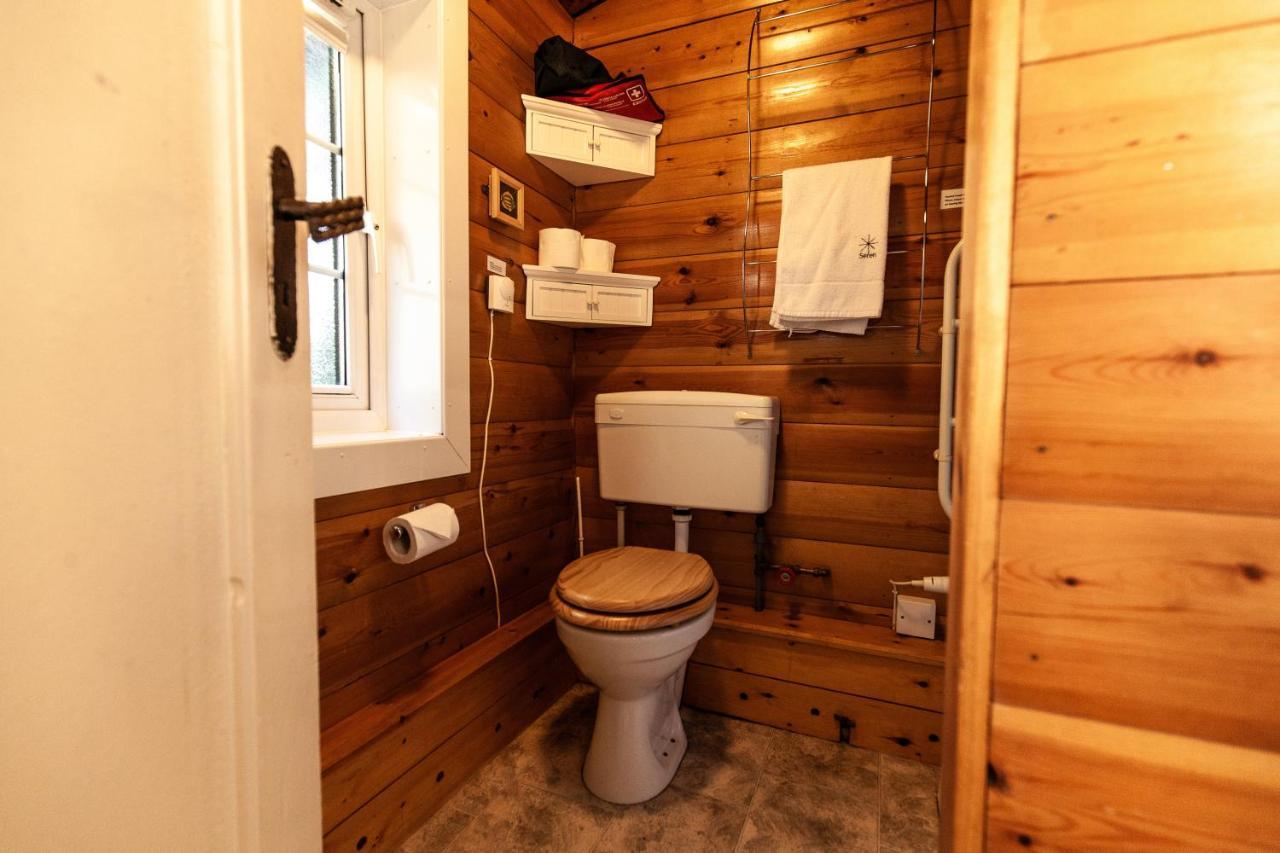 Trawsfynydd Rustic Log Cabin In Snowdonia By Seren Short Stays מראה חיצוני תמונה